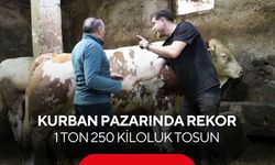 Kurban pazarına damga vuran satış! Dev kurbanlık dudak uçuklatan fiyata gitti