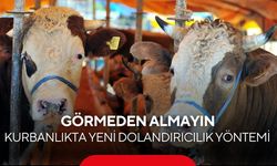 Kurbanlık alırken bu tuzağa düşmeyin! Uzmanlardan kritik uyarı.