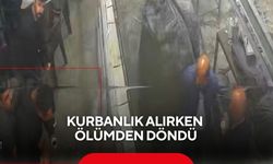 Kurbanlık alırken ölümden döndü