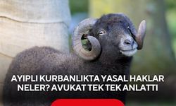Ayıplı kurbanlıkta yasal haklar neler? Avukat tek tek anlattı