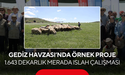 Gediz Havzası’nda örnek proje... 1.643 dekarlık merada ıslah çalışması