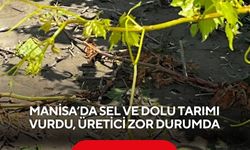 Manisa’da sel ve dolu tarımı vurdu, üretici zor durumda