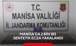 Manisa’da 2 Bin 183 sentetik ecza yakalandı