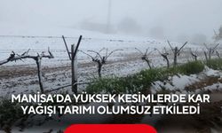 Manisa’da yüksek kesimlerde kar yağışı tarımı olumsuz etkiledi