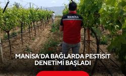 Manisa’da bağlarda pestisit denetimi başladı