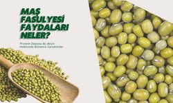 Maş Fasulyesi Faydaları Neler? Protein Deposu Bu Besin Hakkında Bilmeniz Gerekenler