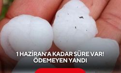Misket büyüklüğünde dolu yağdı, ekinler zarar gördü