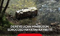 Dereye uçan minibüsün sürücüsü hayatını kaybetti