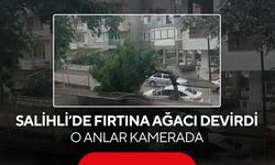 Salihli’de fırtına ağacı devirdi: O anlar kamerada