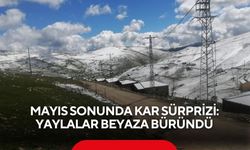 Mayıs sonunda kar sürprizi: Yaylalar beyaza büründü