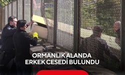 Ormanlık alandan gelen ihbar ekipleri harekete geçirdi...