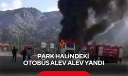 Park halindeki otobüs alev alev yandı