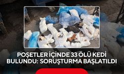 Poşetler içinde bulunan 33 ölü kedi ile ilgili soruşturma başlatıldı