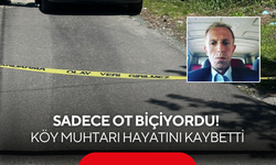 Sadece ot biçiyordu! Köy muhtarı hayatını kaybetti