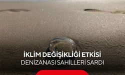 Sahiller alarm veriyor! Binlerce denizanası kıyıya vurdu...
