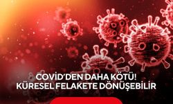 Covid’den daha kötü! Dünya alarmda: H5N1 küresel felakete dönüşebilir