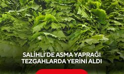 Salihli’de asma yaprağı tezgahlarda yerini aldı