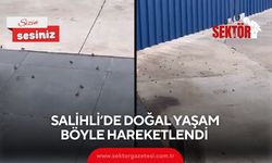 Salihli’de doğal yaşam böyle hareketlendi