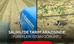 Salihli’de tarım arazisinde yürekleri ısıtan görüntü