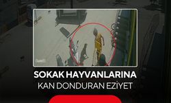 Sokak hayvanlarına kan donduran eziyet... Görüntüler tepki yağdırdı...