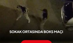 Sokak ortasında boks maçı! Dakikalarca yumruklaştılar | Boks ringlerini aratmayan kavga kameraya böyle yansıdı...