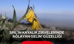 Spil’in kayalık zirvelerinde ‘ağlayan gelin’ güzelliği