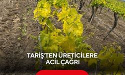 TARİŞ’ten üreticilere acil çağrı