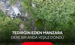 Tedirgin eden manzara! Dere bir anda yeşile döndü, ağır koku mahalleyi sardı...