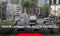 Trafik lambası onlar için yemek zili...