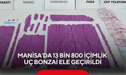 Manisa'da 13 bin 800 içimlik uç bonzai ele geçirildi