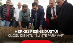 Üreticiler sırrını paylaştı: Küçük alandan servet kazandıran o ürünün hasadı başladı