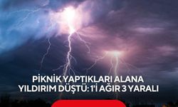 Piknik yaptıkları alana yıldırım düştü: 1'i ağır 3 yaralı