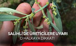 Salihli’de zeytinde halkalı leke uyarısı