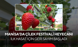 İlk hasat için geri sayım başladı