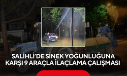 Salihli’de sinek yoğunluğuna karşı 9 araçla ilaçlama çalışması