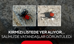 Kırmızı listede yer alıyor… Salihli’de vatandaşlar görüntüledi