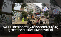 Salihli’de şiddetli yağış sonrası ağaç iş merkezinin üzerine devrildi