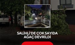 Salihli’de çok sayıda ağaç devrildi