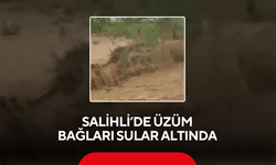 Salihli’de üzüm bağları sular altında