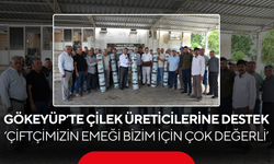 Gökeyüp’te çilek üreticilerine destek... ‘Çiftçimizin emeği bizim için çok değerli’