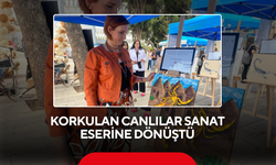 Korkulan canlılar sanat eserine dönüştü