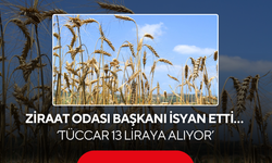 Ziraat Odası Başkanı isyan etti… ‘Tüccar 13 liraya alıyor, çiftçi zarar ediyor’