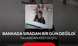 Tavandan gelen seslerin nedeni ortaya çıktı