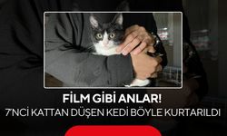7’nci kattan düşen kediye mahalleli şemsiye açtı! O anlar kamerada...