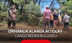 Ormanlık alanda acı olay: Cansız beden bulundu
