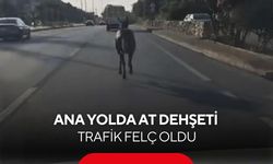Başıboş at ölümle burun buruna getirdi... O anlar kamerada!