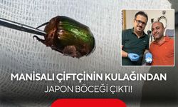 Çiftinin kulağındaki Japon Böceği Salihli’de çıkarıldı