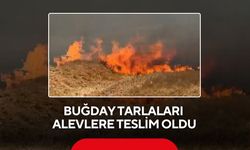 Buğday tarlaları alevlere teslim oldu