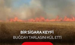 Bir sigara keyfi buğday tarlasını kül etti