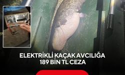 Gölette elektrikli kaçak avcılığa 189 bin TL ceza